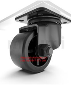 Bánh xe đẩy chịu tải D75